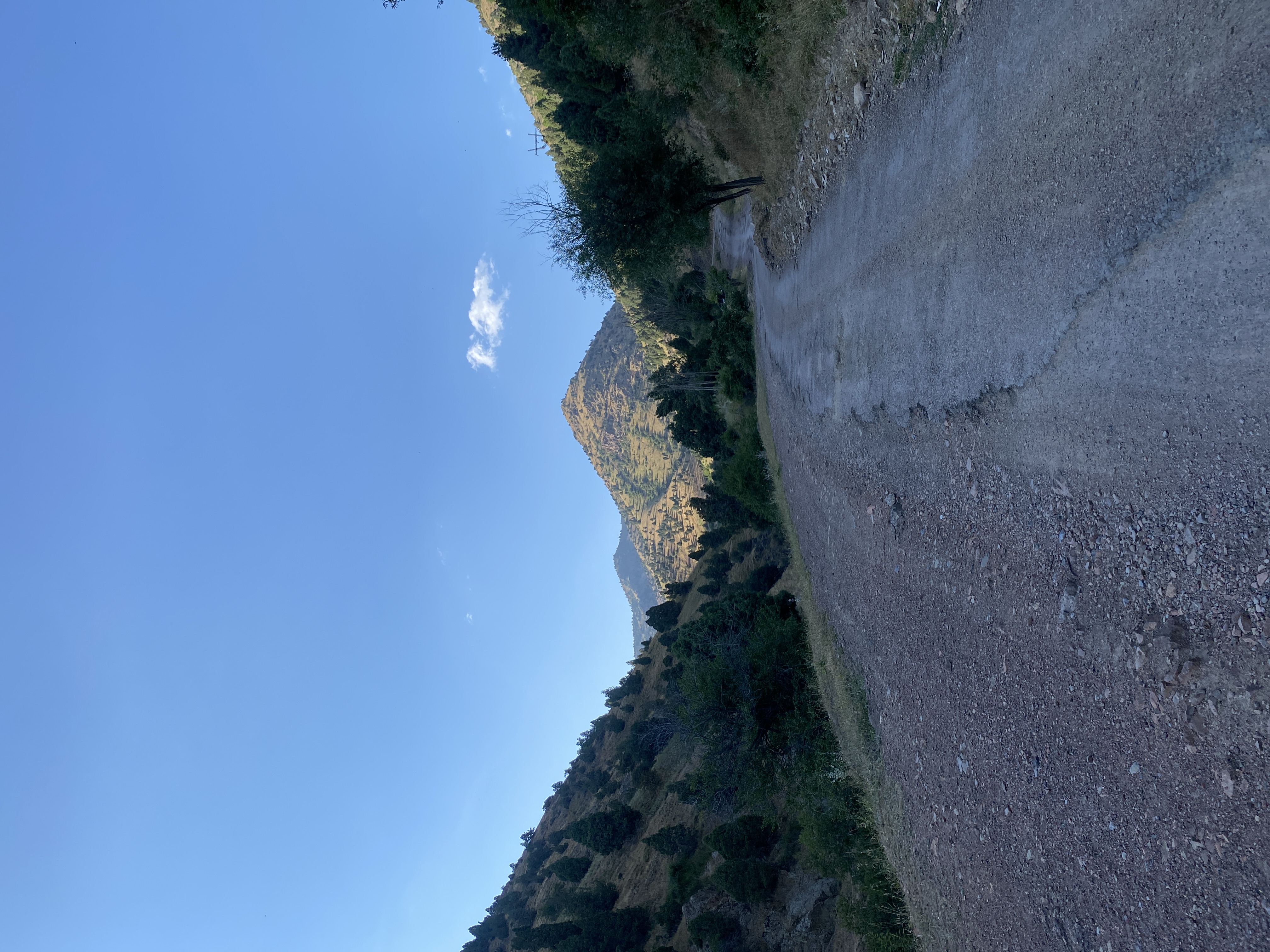Yangiabad Nature 6